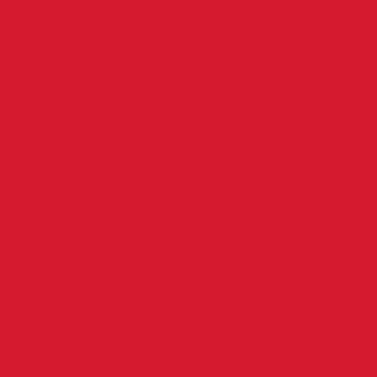 Picture of 49855 Tulip Brush-On Fabric Paint Red 2.7 fl. oz.