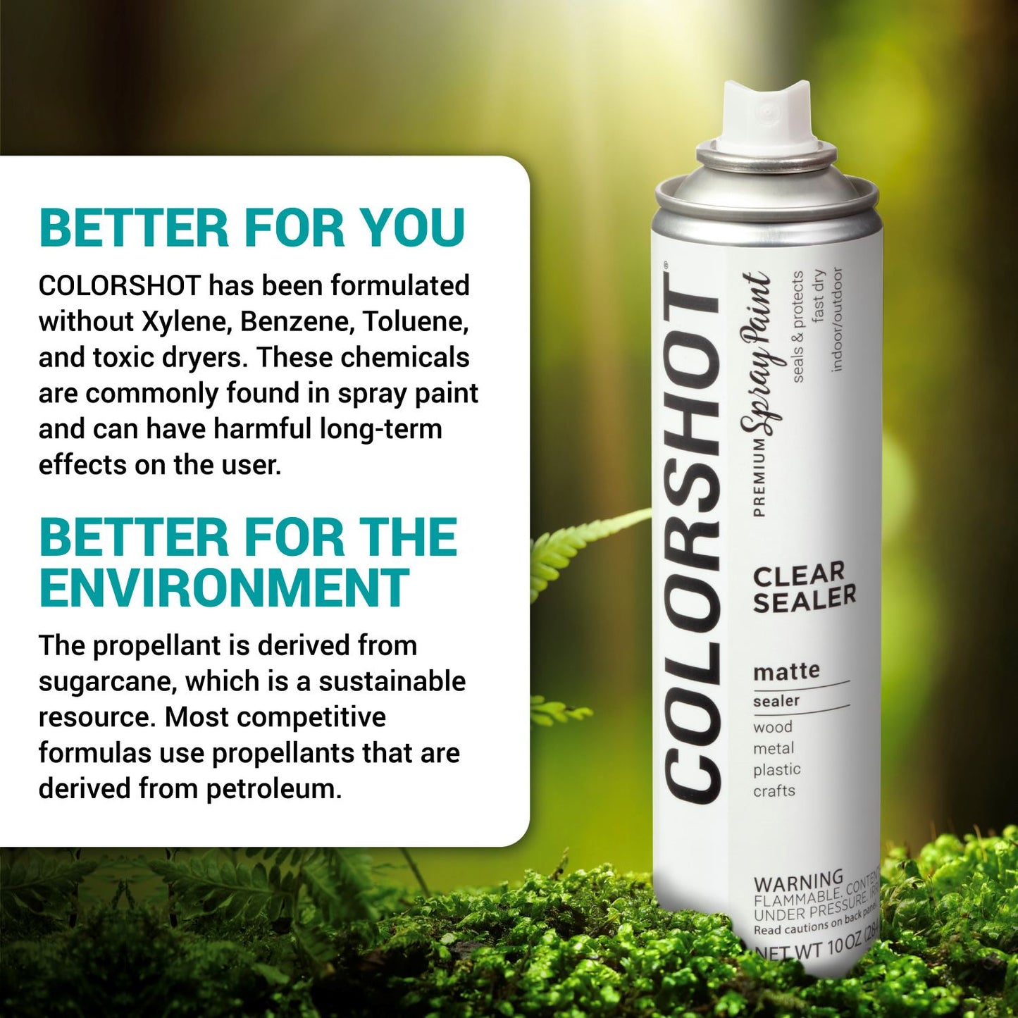 Picture of 48684 COLORSHOT Clear Sealer Matte 10 oz. 4 Pack