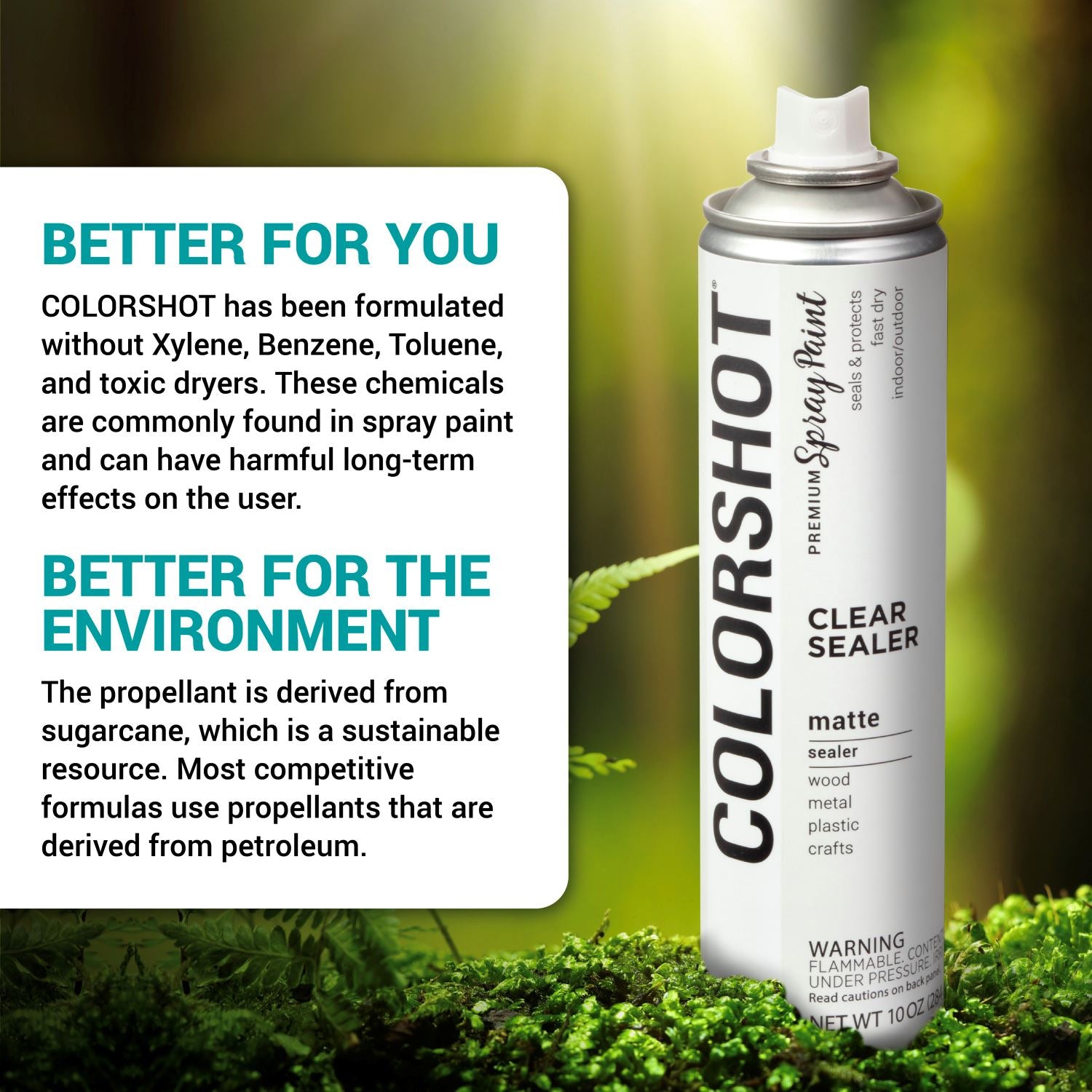 Picture of 48684 COLORSHOT Clear Sealer Matte 10 oz. 4 Pack